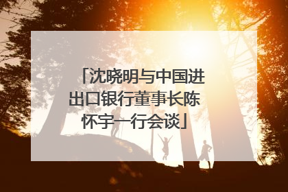 沈晓明与中国进出口银行董事长陈怀宇一行会谈