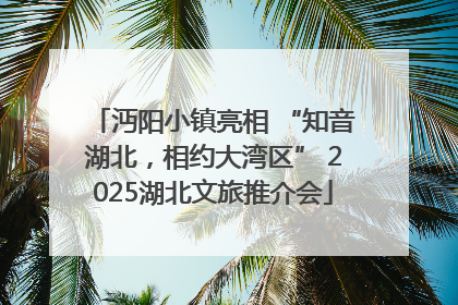 沔阳小镇亮相 “知音湖北，相约大湾区” 2025湖北文旅推介会