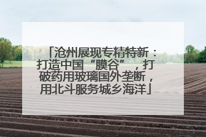 沧州展现专精特新：打造中国“膜谷”，打破药用玻璃国外垄断，用北斗服务城乡海洋
