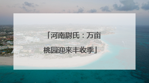 河南尉氏：万亩桃园迎来丰收季