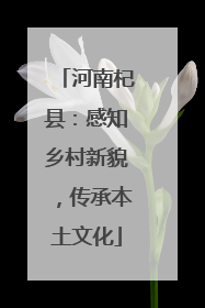河南杞县：感知乡村新貌，传承本土文化