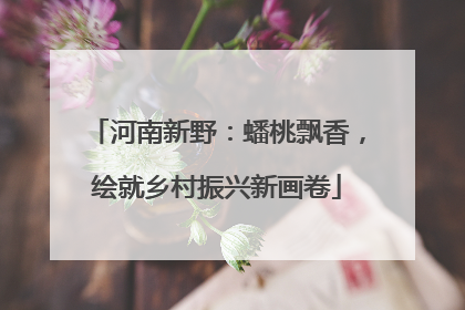 河南新野：蟠桃飘香，绘就乡村振兴新画卷