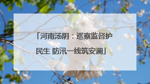 河南汤阴：巡察监督护民生 防汛一线筑安澜