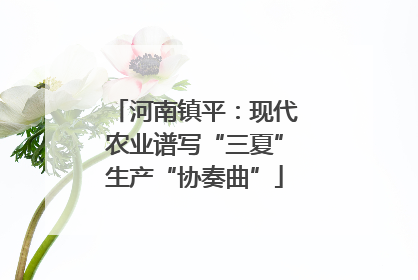 河南镇平：现代农业谱写“三夏”生产“协奏曲”
