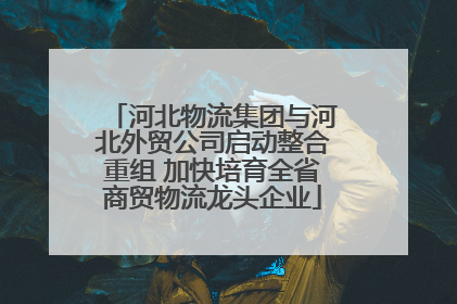 河北物流集团与河北外贸公司启动整合重组 加快培育全省商贸物流龙头企业