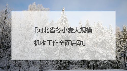 河北省冬小麦大规模机收工作全面启动