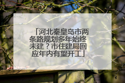 河北秦皇岛市两条路规划多年始终未建？市住建局回应年内有望开工