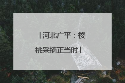 河北广平：樱桃采摘正当时