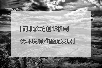 河北廊坊创新机制——优环境解难题促发展