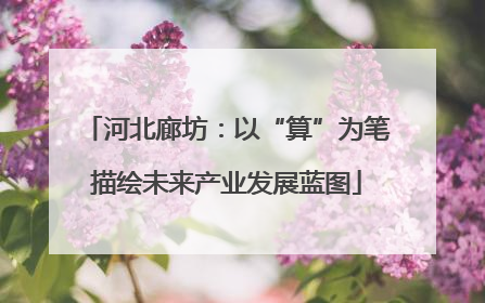 河北廊坊：以“算”为笔描绘未来产业发展蓝图