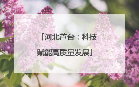 河北芦台：科技赋能高质量发展