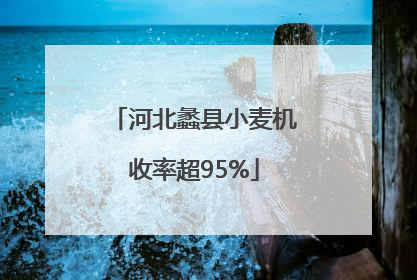 河北蠡县小麦机收率超95%