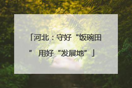 河北：守好“饭碗田” 用好“发展地”