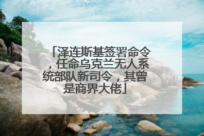 泽连斯基签署命令，任命乌克兰无人系统部队新司令，其曾是商界大佬