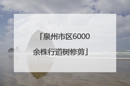 泉州市区6000余株行道树修剪