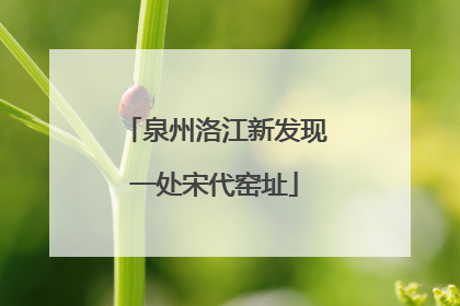 泉州洛江新发现一处宋代窑址