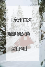 泉州首次观测到深色型白鹭