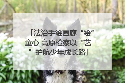 法治手绘画廊“绘”童心 高原检察以“艺”护航少年成长路