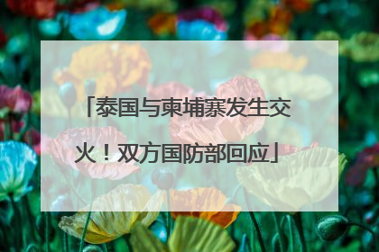 泰国与柬埔寨发生交火！双方国防部回应