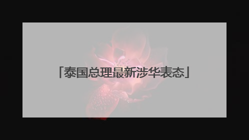 泰国总理最新涉华表态