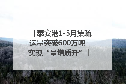 泰安港1-5月集疏运量突破600万吨 实现“量增质升”