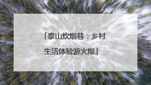 泰山炊烟巷：乡村生活体验游火爆
