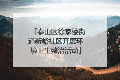泰山区徐家楼街道新峪社区开展环境卫生整治活动