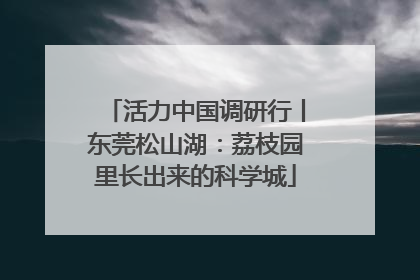 活力中国调研行丨东莞松山湖：荔枝园里长出来的科学城