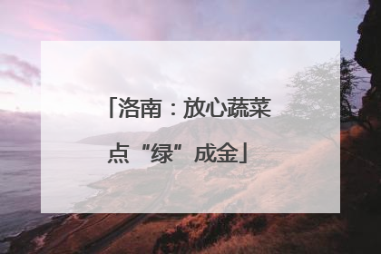 洛南：放心蔬菜点“绿”成金