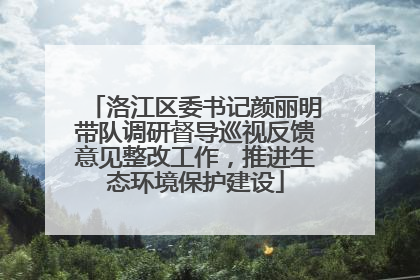 洛江区委书记颜丽明带队调研督导巡视反馈意见整改工作，推进生态环境保护建设
