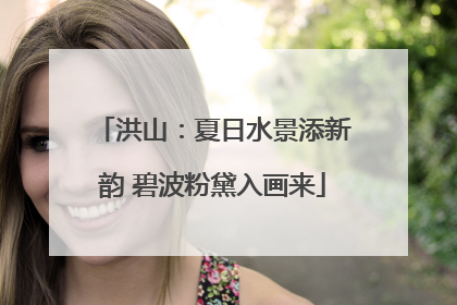 洪山：夏日水景添新韵 碧波粉黛入画来