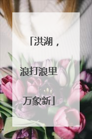 洪湖，浪打浪里万象新
