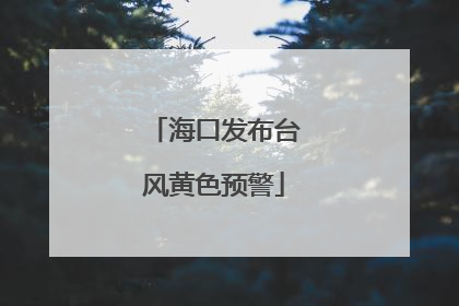 海口发布台风黄色预警