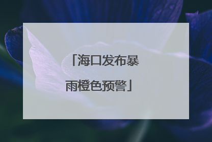 海口发布暴雨橙色预警