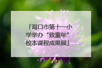 海口市第十一小学举办“致童年”校本课程成果展