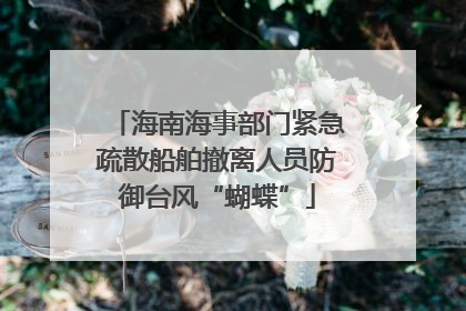 海南海事部门紧急疏散船舶撤离人员防御台风“蝴蝶”