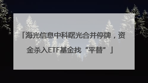 海光信息中科曙光合并停牌，资金杀入ETF基金找“平替”