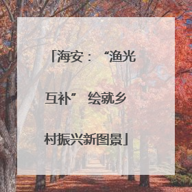 海安：“渔光互补” 绘就乡村振兴新图景