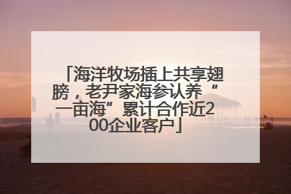 海洋牧场插上共享翅膀，老尹家海参认养“一亩海”累计合作近200企业客户