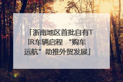 浙南地区首批自有TIR车辆启程 “购车远航”助推外贸发展