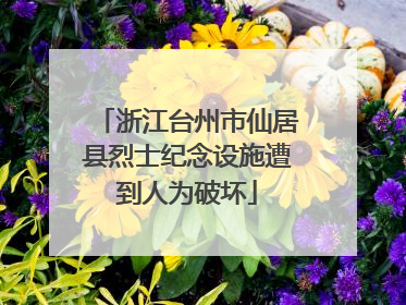 浙江台州市仙居县烈士纪念设施遭到人为破坏