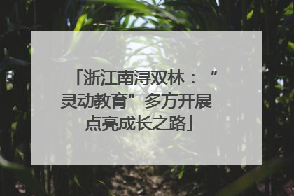 浙江南浔双林：“灵动教育”多方开展 点亮成长之路