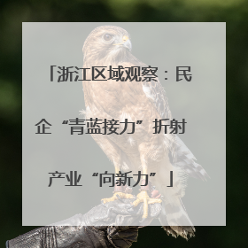 浙江区域观察：民企“青蓝接力”折射产业“向新力”