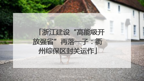 浙江建设“高能级开放强省”再落一子：衢州综保区封关运作