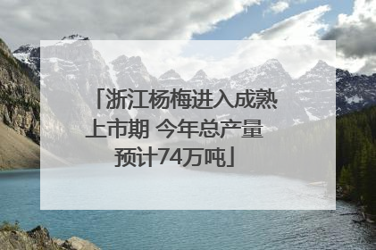 浙江杨梅进入成熟上市期 今年总产量预计74万吨