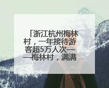 浙江杭州梅林村,一年接待游客超5万人次——梅林村,满满人气从何来(经济新方位·农村消费观察)