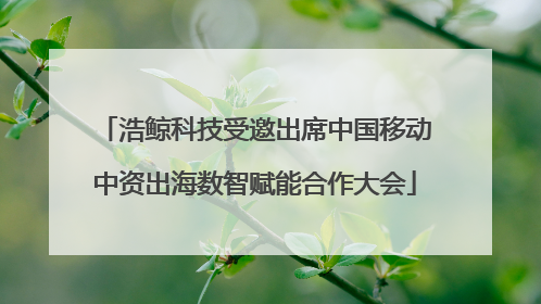 浩鲸科技受邀出席中国移动中资出海数智赋能合作大会