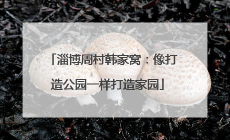 淄博周村韩家窝：像打造公园一样打造家园