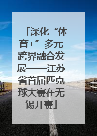 深化“体育+”多元跨界融合发展——江苏省首届匹克球大赛在无锡开赛