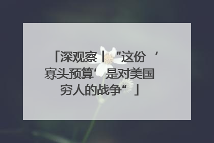 深观察丨“这份‘寡头预算’是对美国穷人的战争”